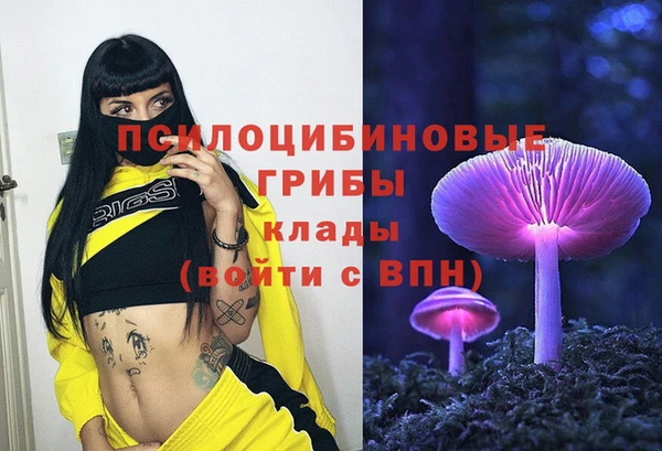 хмурый Абинск