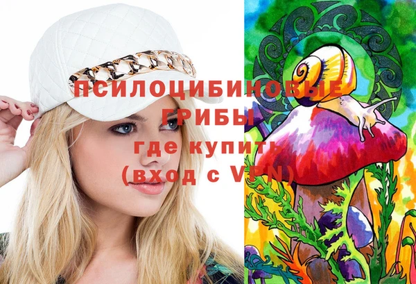 хмурый Абинск