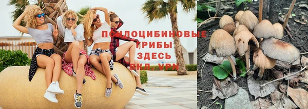 хмурый Абинск
