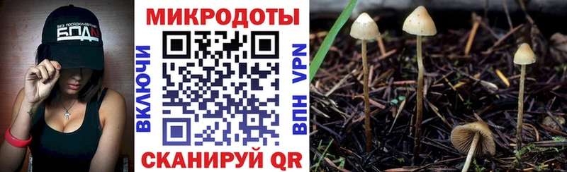 Галлюциногенные грибы ЛСД Стерлитамак