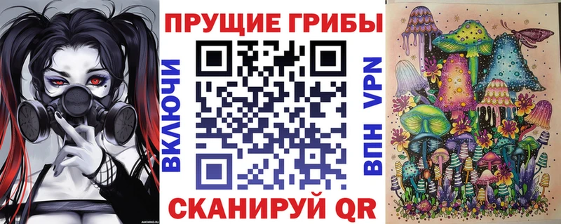 дарк нет формула  цены наркотик  Стерлитамак  Псилоцибиновые грибы ЛСД 